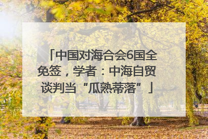 中国对海合会6国全免签，学者：中海自贸谈判当“瓜熟蒂落”